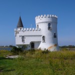 A Castle in Irish Bayou